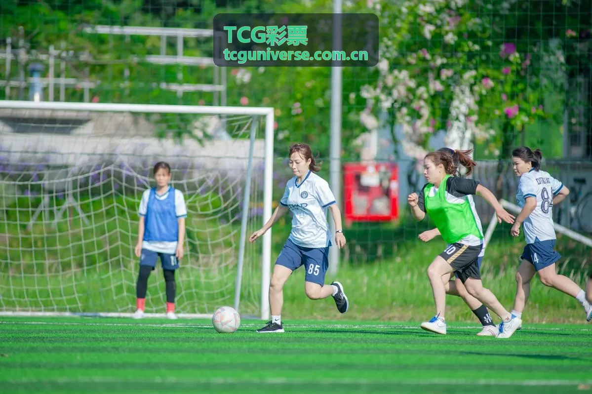 TCG彩票双色球玩法推荐